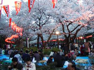 우에노공원의 벚꽃놀이