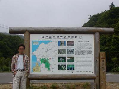 白神山地