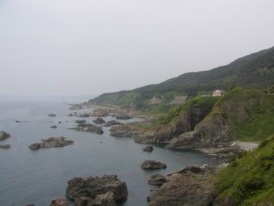 八森