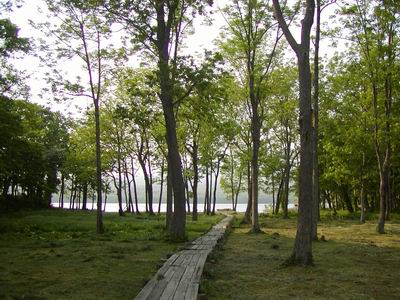 大沼公園